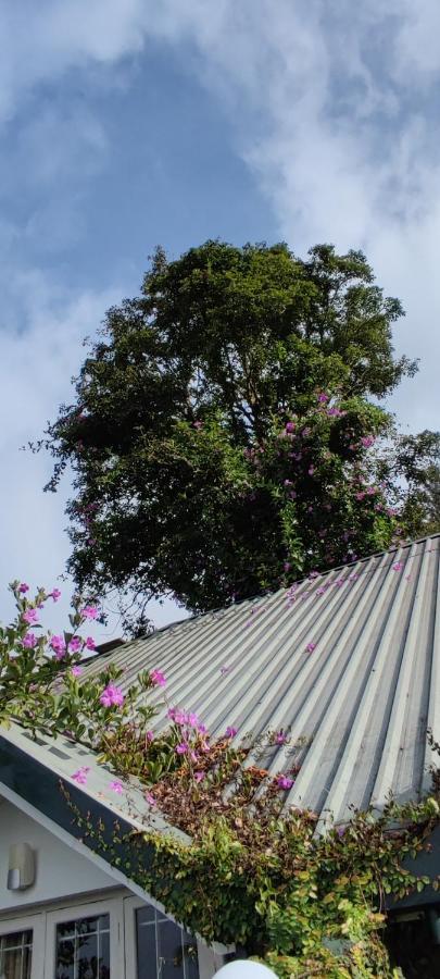 Munnar Tea Hills Resort - Mthr المظهر الخارجي الصورة