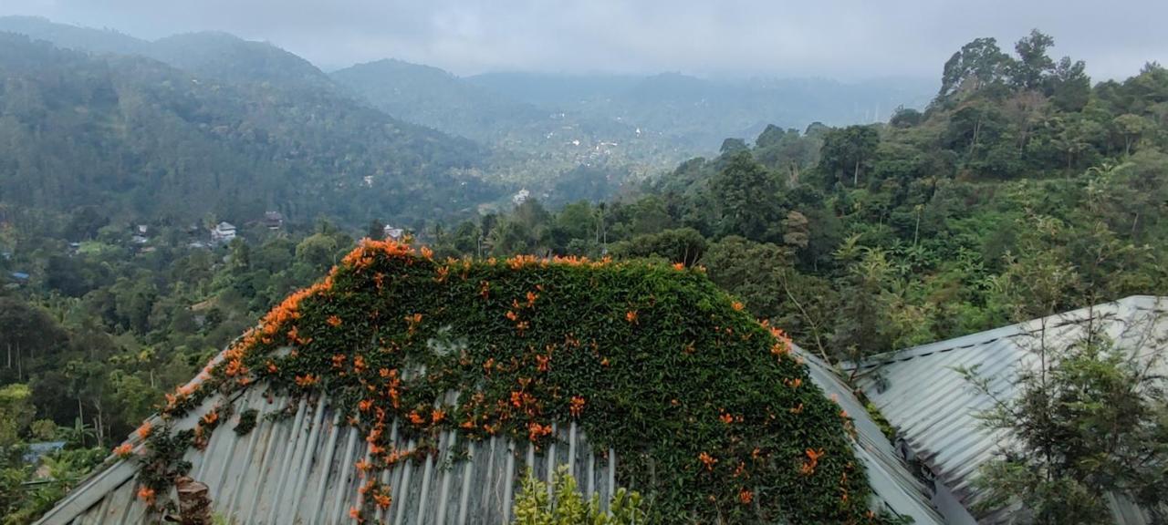 Munnar Tea Hills Resort - Mthr المظهر الخارجي الصورة