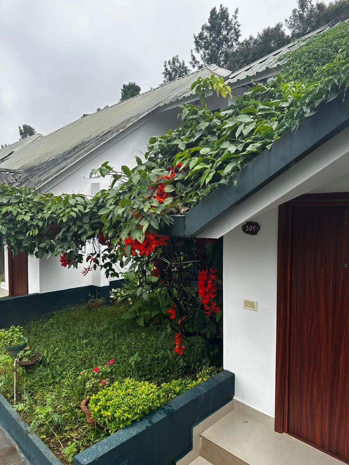 Munnar Tea Hills Resort - Mthr المظهر الخارجي الصورة