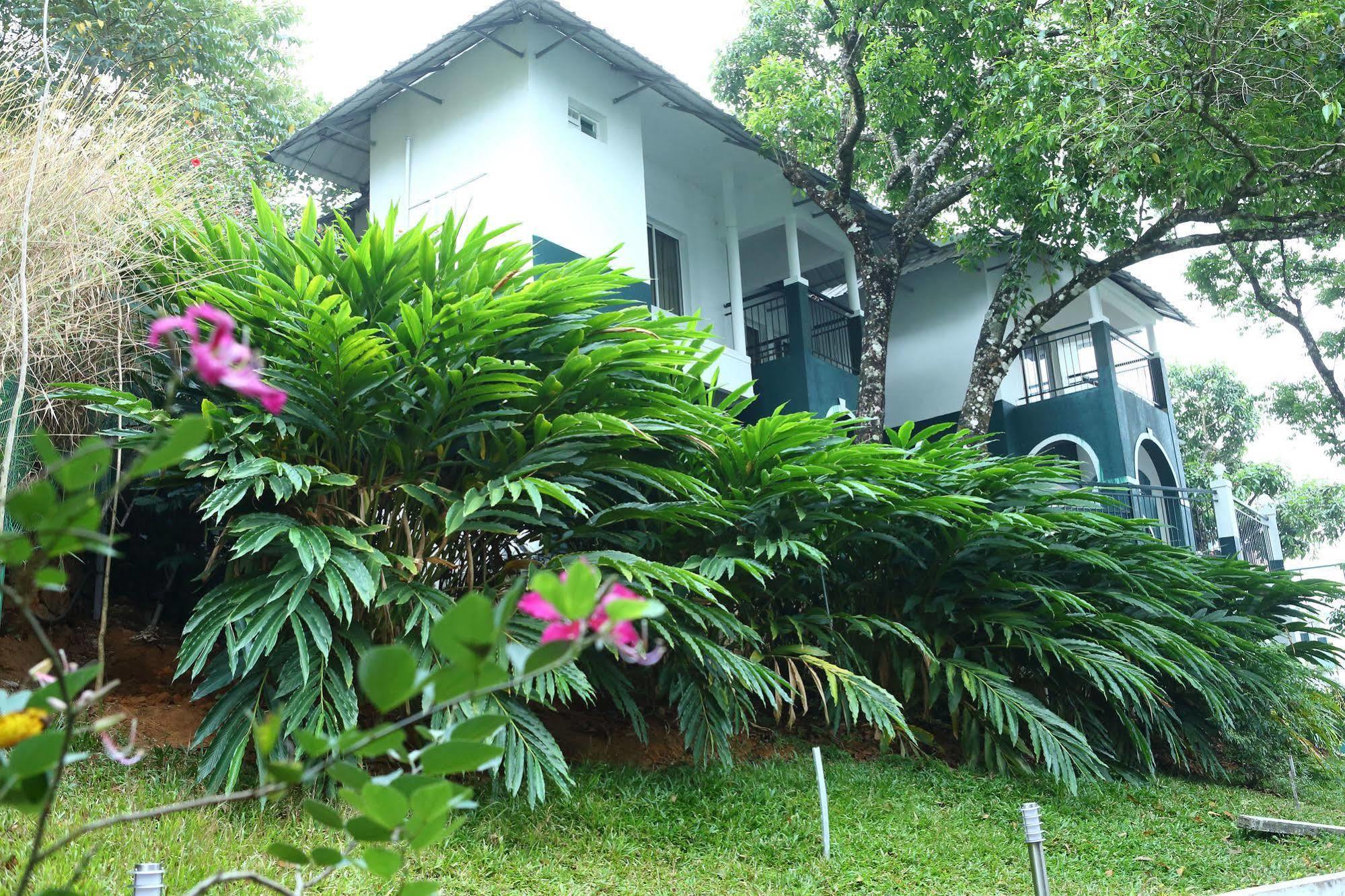 Munnar Tea Hills Resort - Mthr المظهر الخارجي الصورة